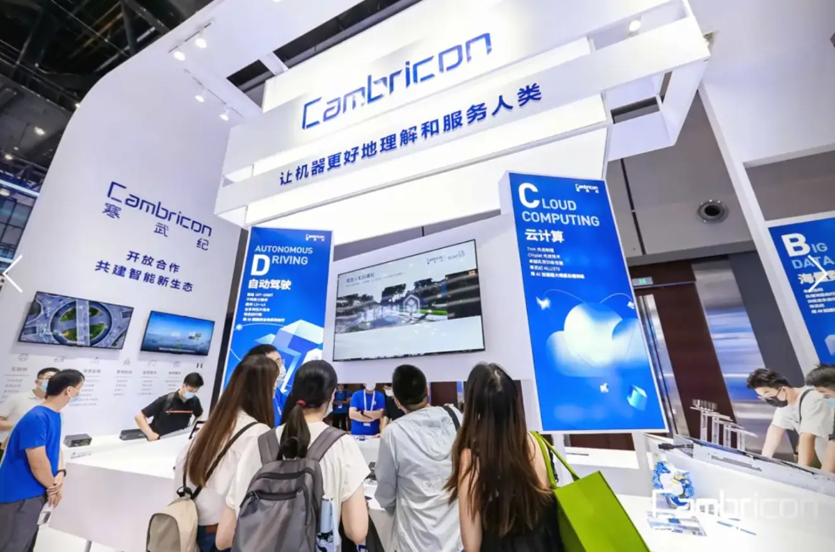 寒王寒武纪,是泡沫还是真金?